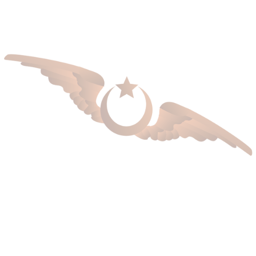 Pilvak Sigorta